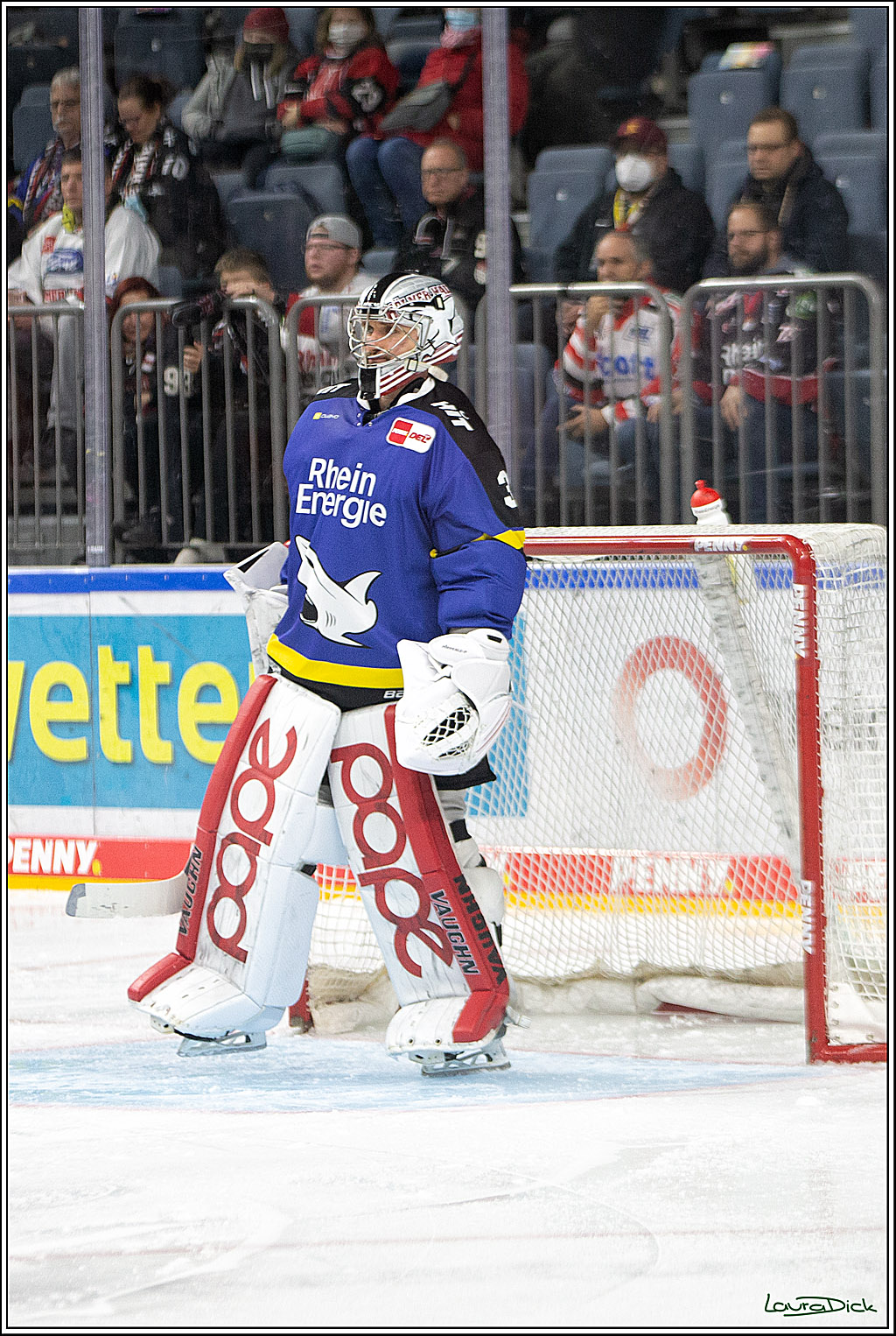 PENNY DEL; Koelner Haie- Fishtown Pinguins Bremerhaven; Koeln, 23.11.2021